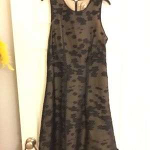 New with tags Max Studio-Leon Max dress!